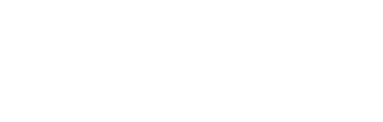 信息噪声 THE NOISE OF INFORMATION
