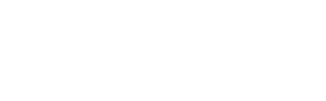 速度与演进 SPEED & EVOLUTION
