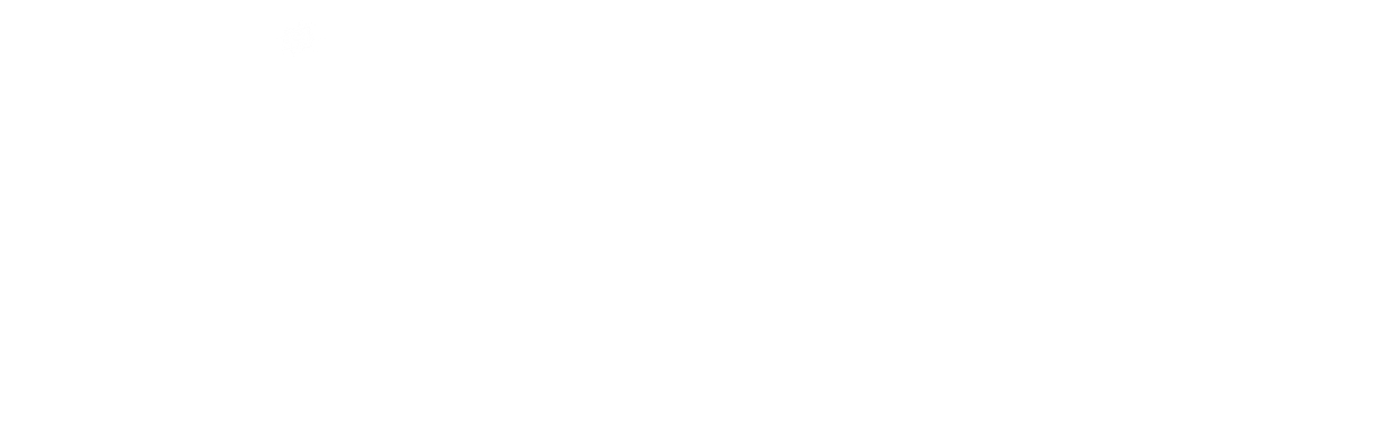 矢量驱动 THE VECTOR CORES